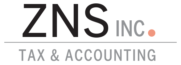 ZNS, Inc. logo
